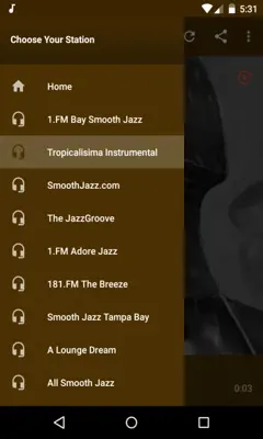 Jazz Music Forever Radio Free android App screenshot 0